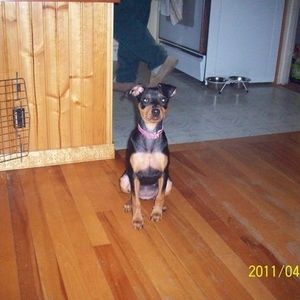 Meet your Posher, Sandra